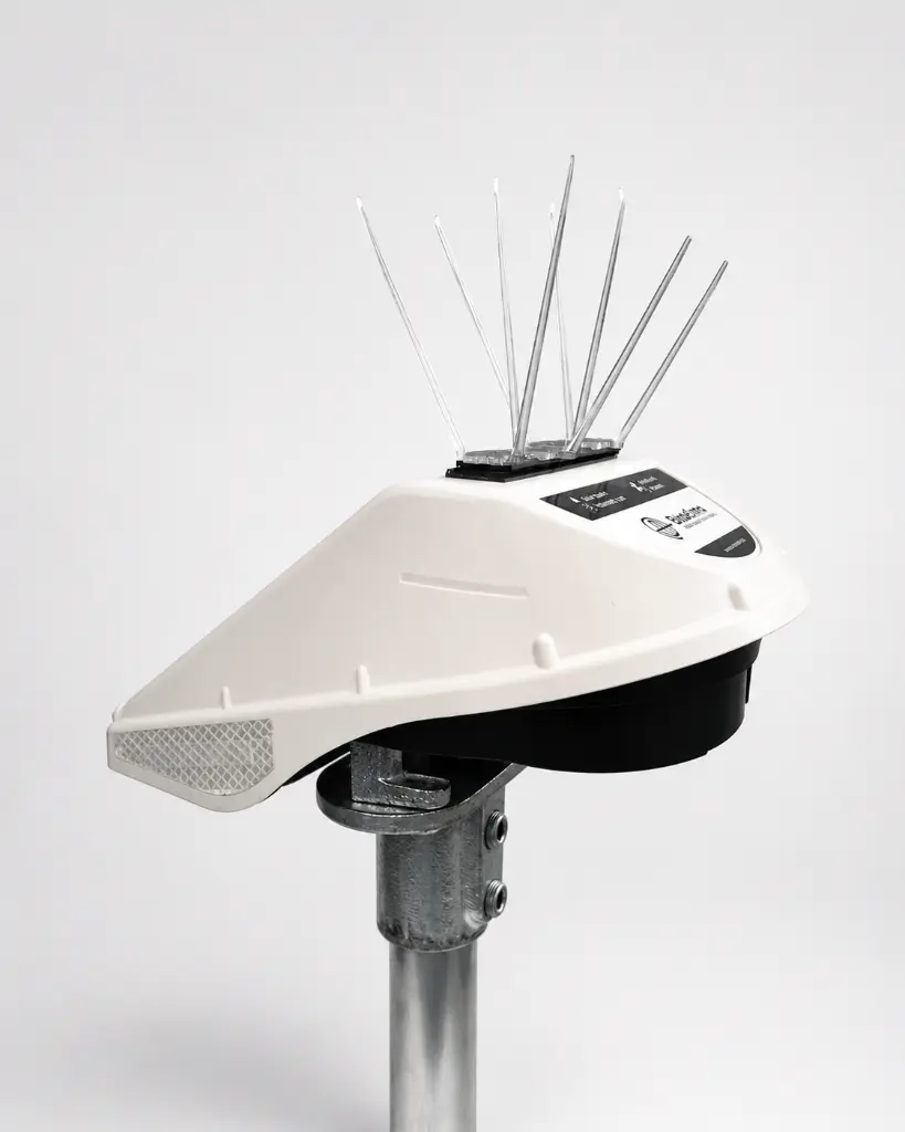 AC-102 Bird spikes (10 pcs) (1).webp