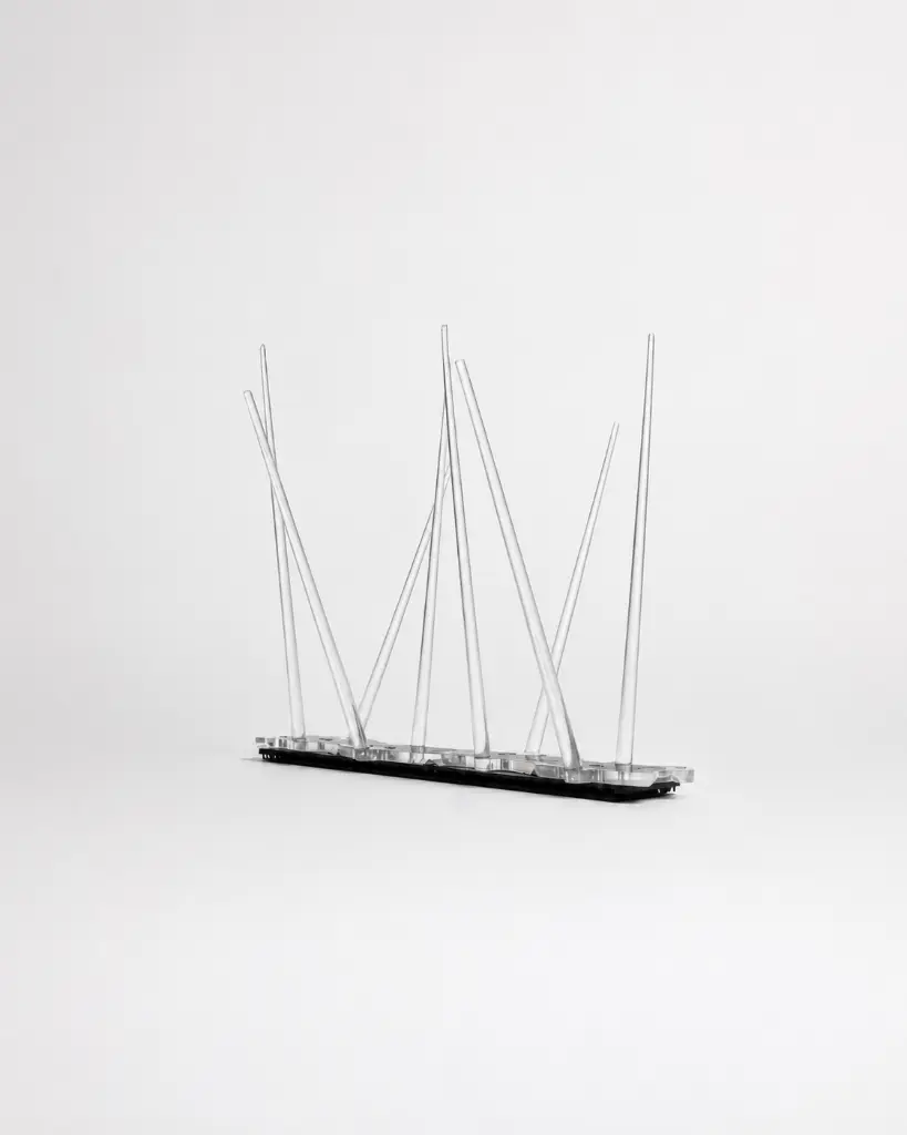 AC-102 Bird spikes (10 pcs) (8).webp