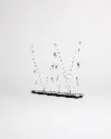 AC-102 Bird spikes (10 pcs) (8).webp