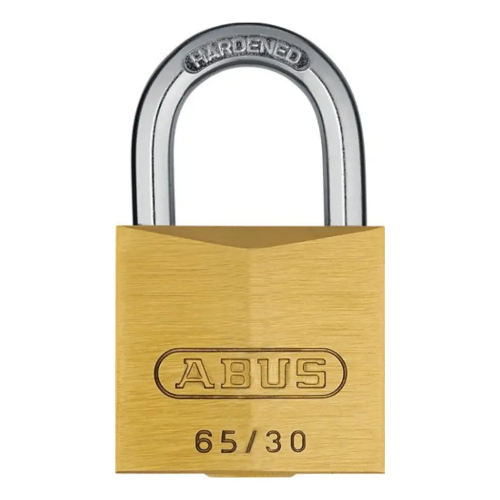 AC-107 Padlock (equal keys)